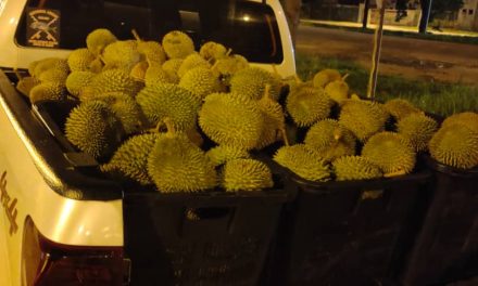 Cara Memulakan Perniagaan Menjual Durian