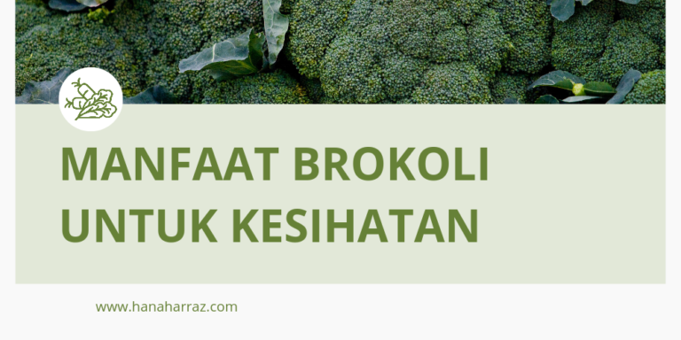 Manfaat Brokoli untuk Kesihatan
