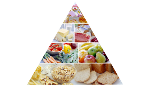 piramid makanan